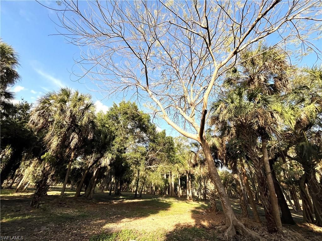 2250 North Rd , Naples, FL 34104 Photo