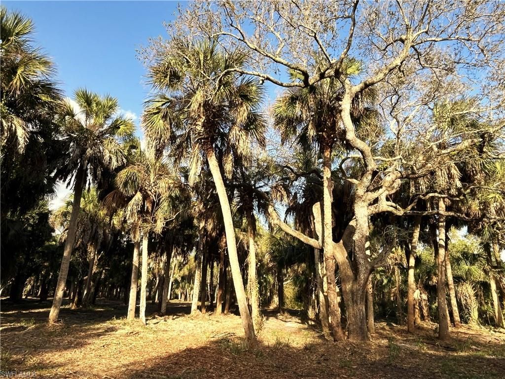 2250 North Rd , Naples, FL 34104 Photo