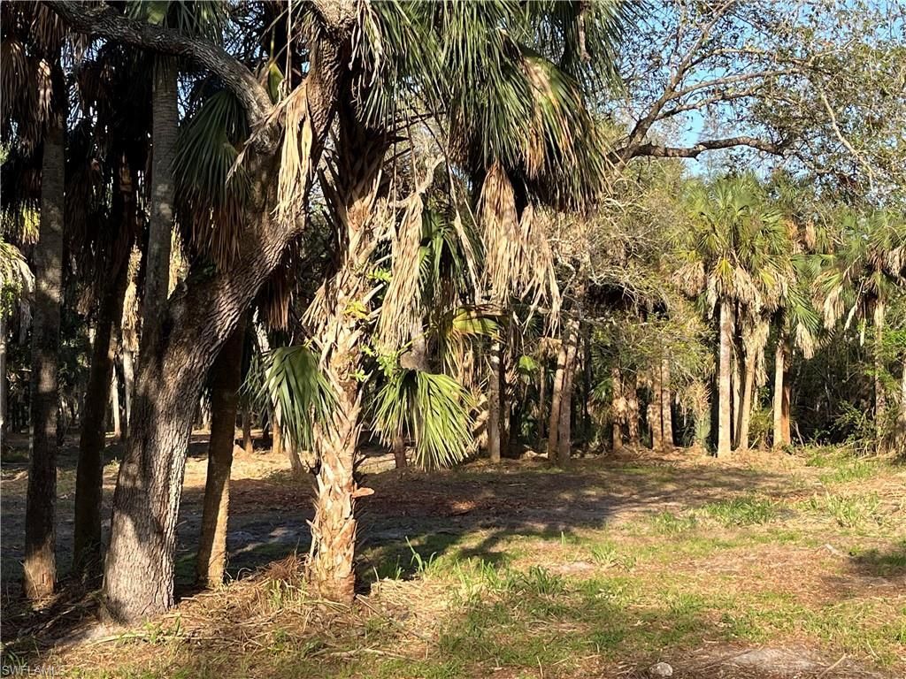 2250 North Rd , Naples, FL 34104 Photo