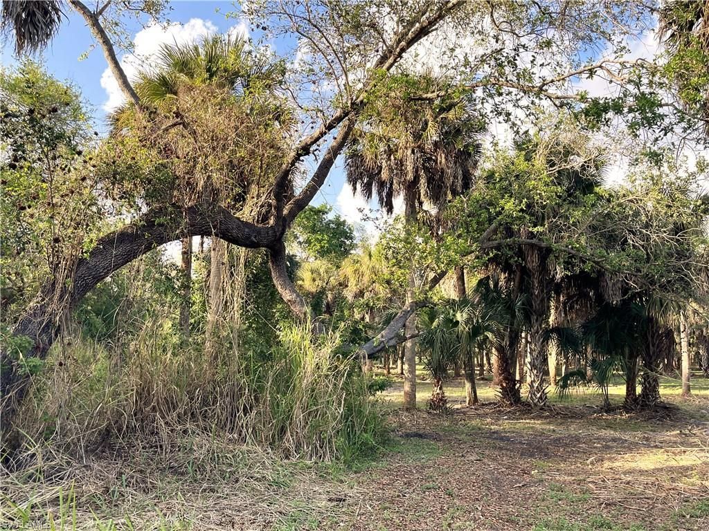 2250 North Rd , Naples, FL 34104 Photo