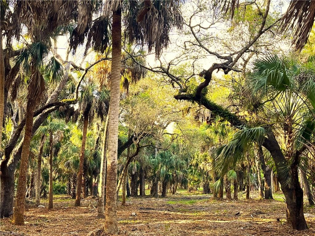 2250 North Rd , Naples, FL 34104 Photo