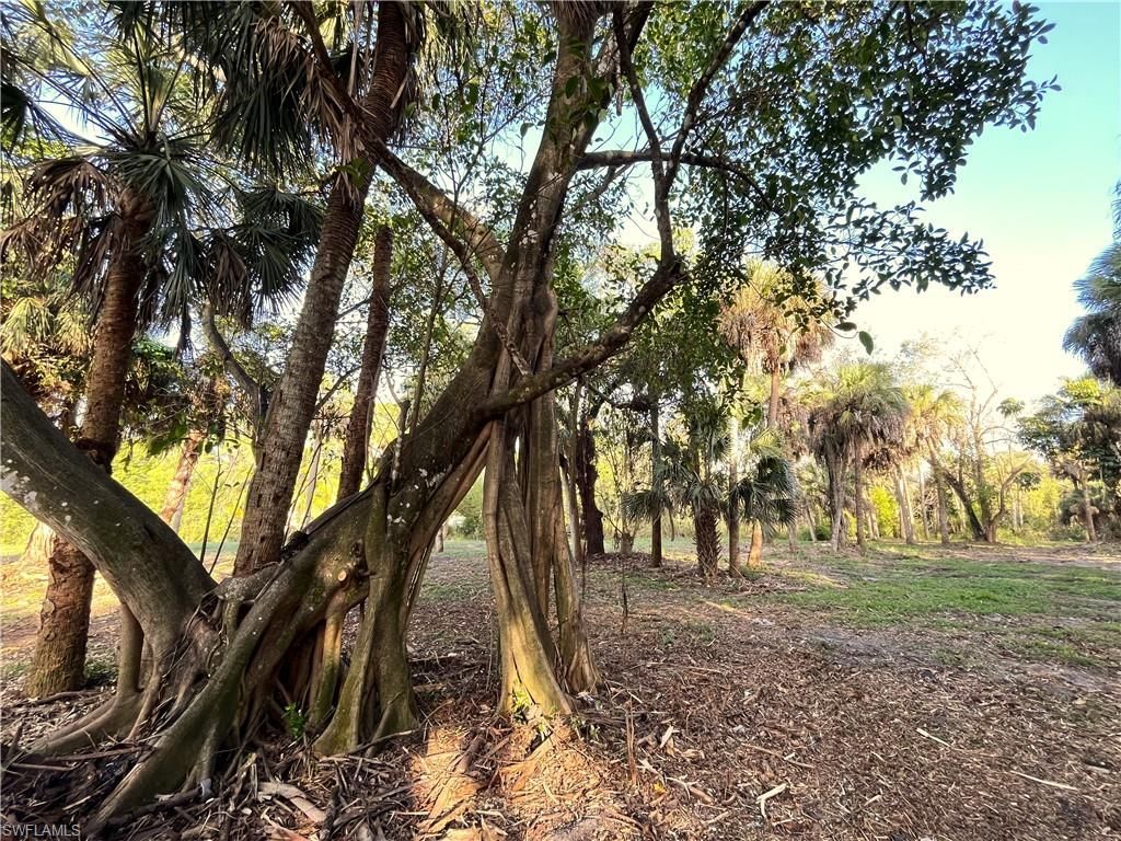 2250 North Rd , Naples, FL 34104 Photo