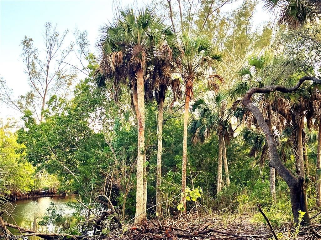 2250 North Rd , Naples, FL 34104 Photo