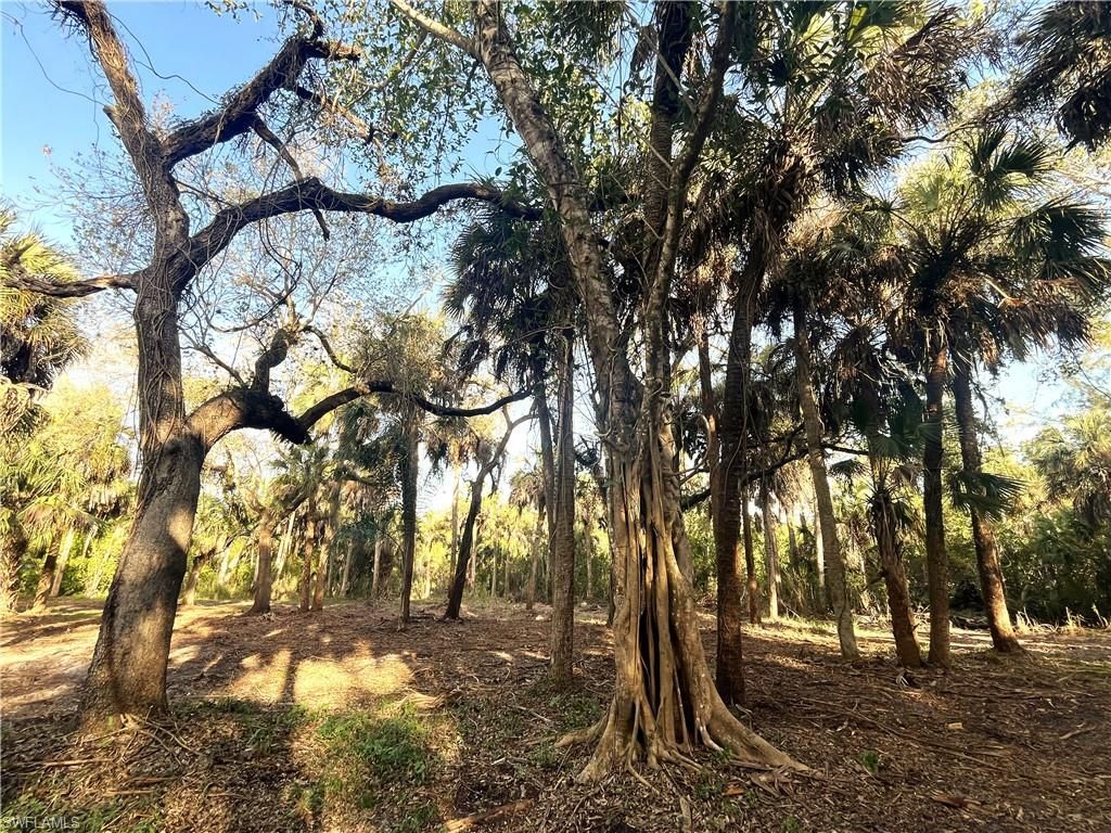 2250 North Rd , Naples, FL 34104 Photo