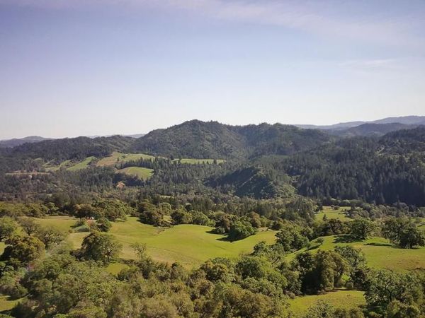 24051 Fig Tree Lane, Yorkville, CA 95494