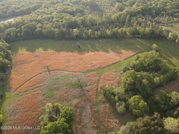 0 Newman Road, Edwards, MS 39066