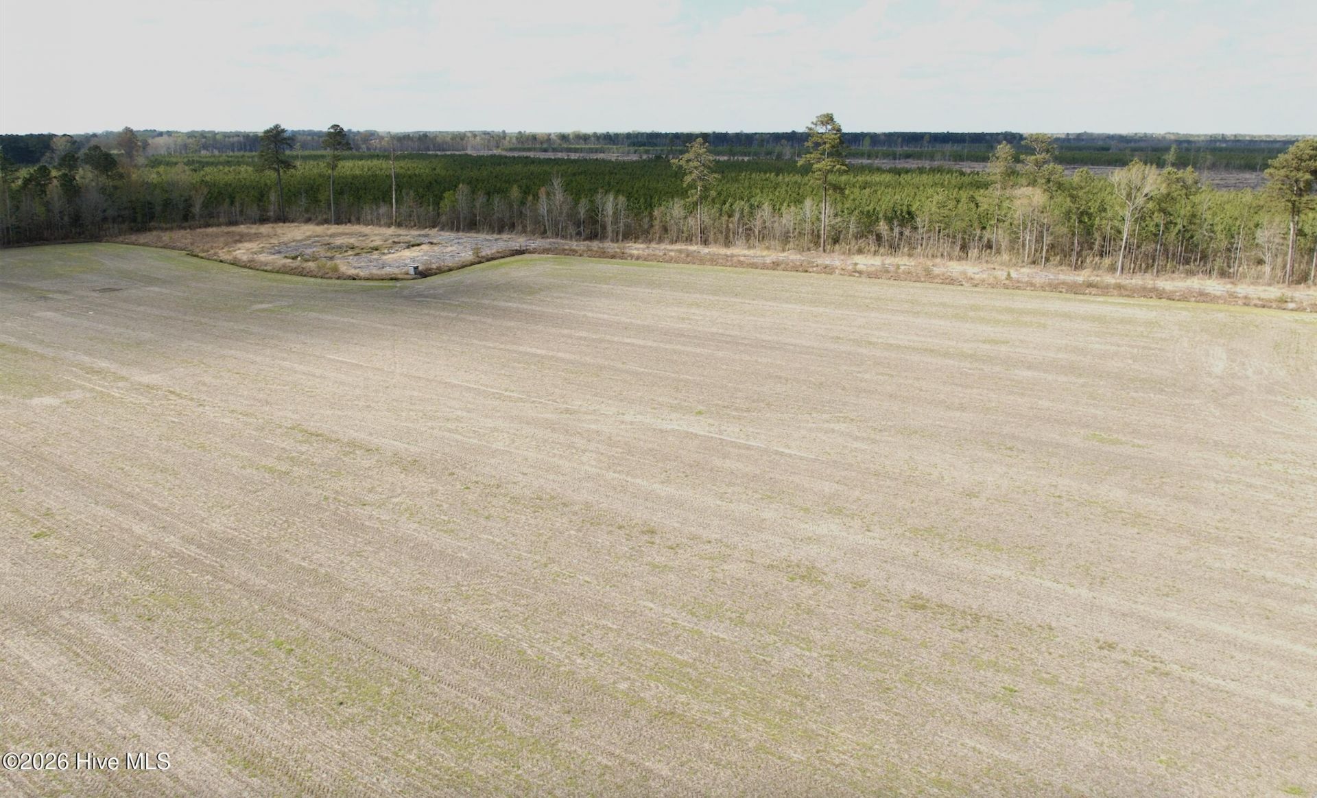 0 Black Mingle Road, Gates, NC 27937 Main Photo