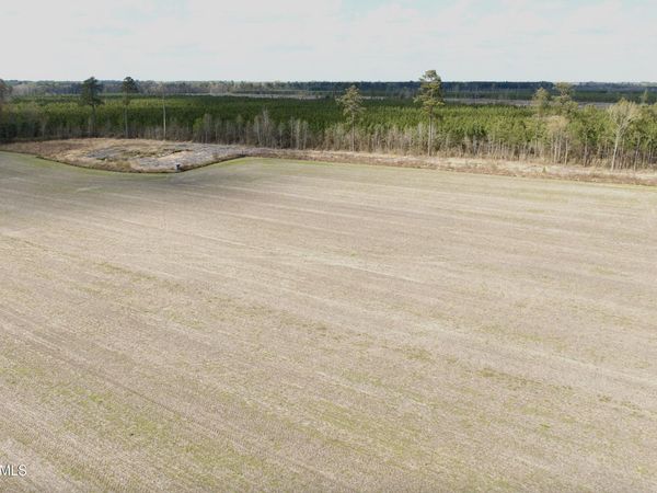 0 Black Mingle Road, Gates, NC 27937