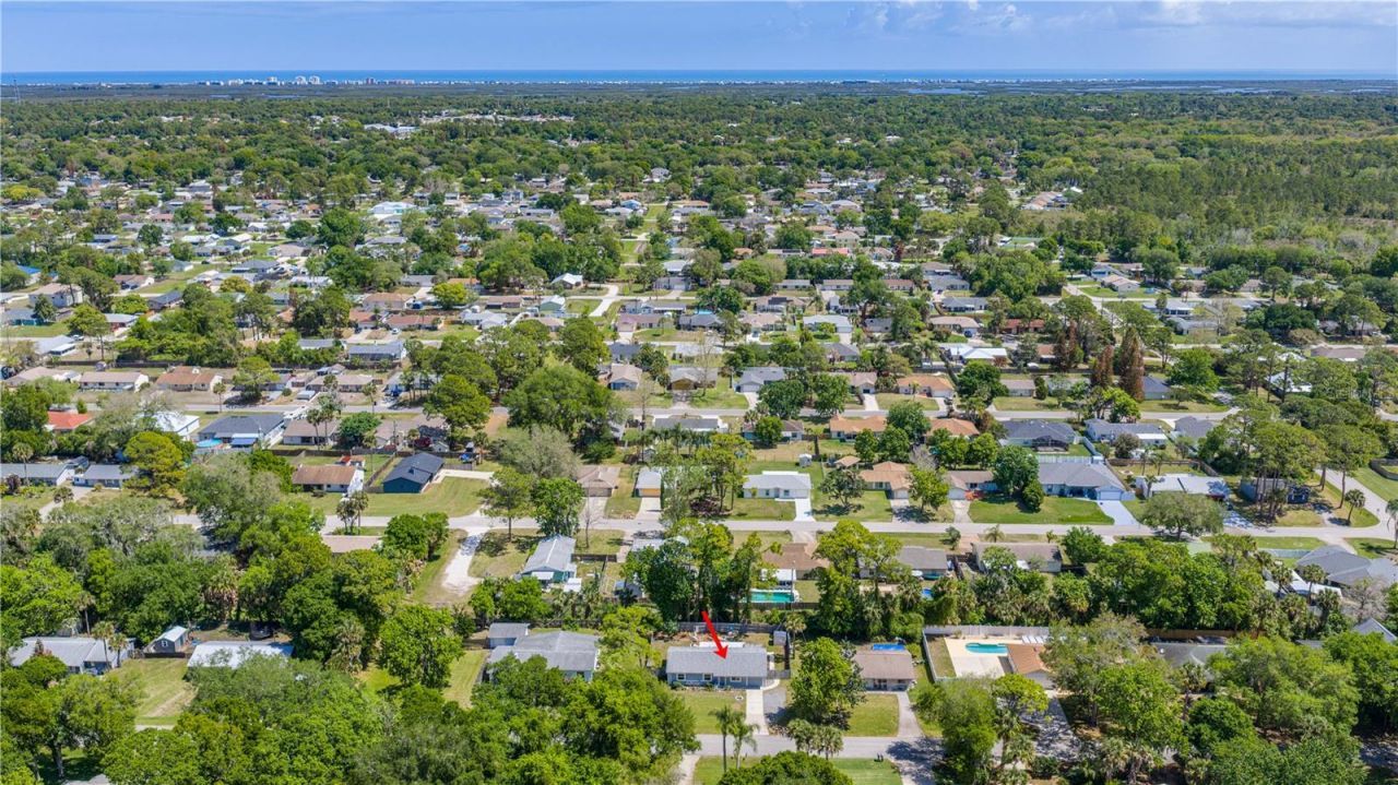 3309 Woodland Drive, Edgewater, FL 32141 Photo