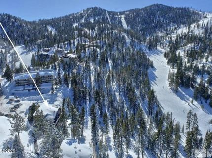 769 N Bowl Lane, Unit E, Stateline, NV 89449 Photo