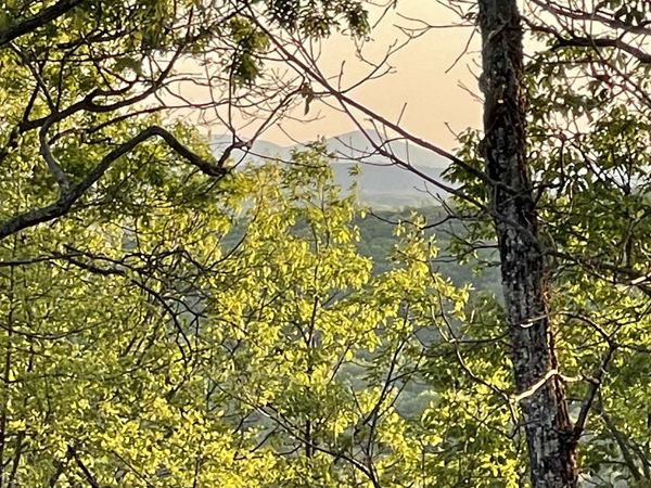 0 Little Eagle Mountain, Unit LOT 5, Clarkesville, GA 30523