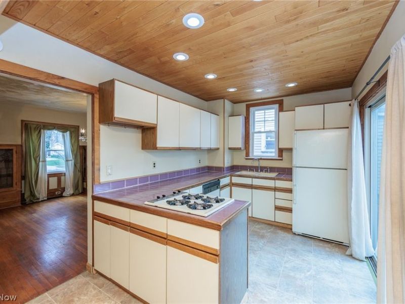 1550 Rydalmount Road, Cleveland Heights, OH 44118 Photo 11