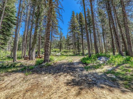 10019 Bunny Hill Road, Soda Springs, CA 95728 Photo