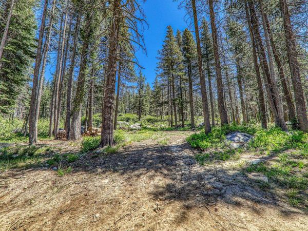 10019 Bunny Hill Road, Soda Springs, CA 95728