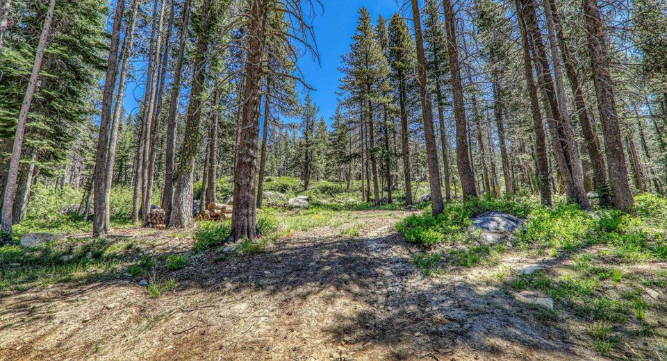 10019 Bunny Hill Road, Soda Springs, CA 95728 Photo