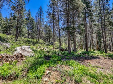 10019 Bunny Hill Road, Soda Springs, CA 95728 Photo