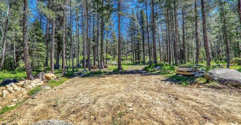 10019 Bunny Hill Road, Soda Springs, CA 95728 Photo