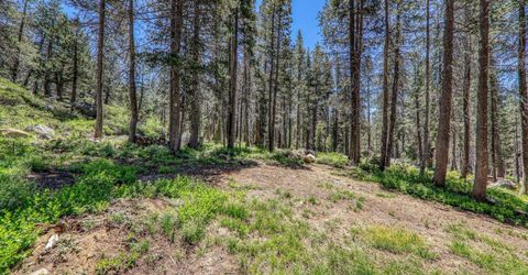 10019 Bunny Hill Road, Soda Springs, CA 95728 Photo