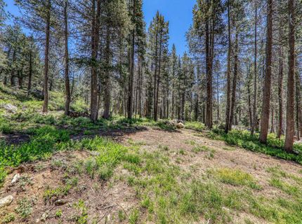 10019 Bunny Hill Road, Soda Springs, CA 95728 Photo