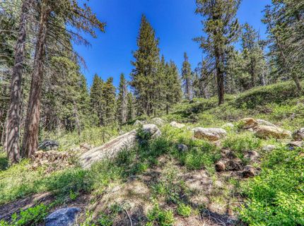 10019 Bunny Hill Road, Soda Springs, CA 95728 Photo