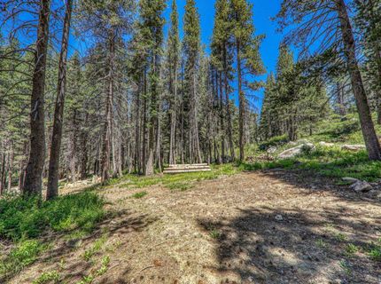 10019 Bunny Hill Road, Soda Springs, CA 95728 Photo