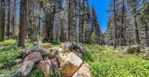 10019 Bunny Hill Road, Soda Springs, CA 95728 Photo