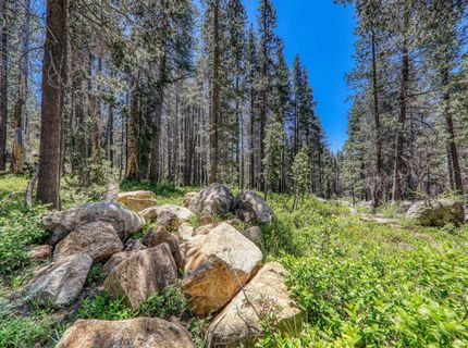 10019 Bunny Hill Road, Soda Springs, CA 95728 Photo