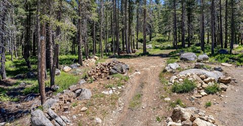 10019 Bunny Hill Road, Soda Springs, CA 95728 Photo