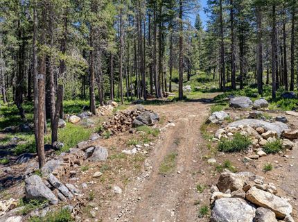 10019 Bunny Hill Road, Soda Springs, CA 95728 Photo