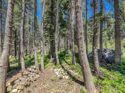 10019 Bunny Hill Road, Soda Springs, CA 95728 Photo