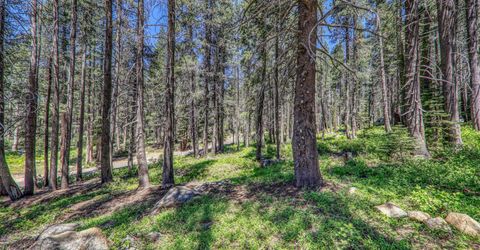 10019 Bunny Hill Road, Soda Springs, CA 95728 Photo