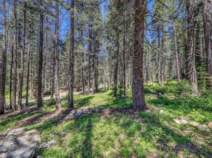 10019 Bunny Hill Road, Soda Springs, CA 95728 Photo