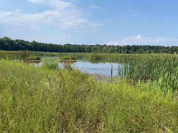 Flagdale, Junction City, OH 43748