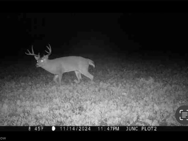 Flagdale, Junction City, OH 43748 Photo 10