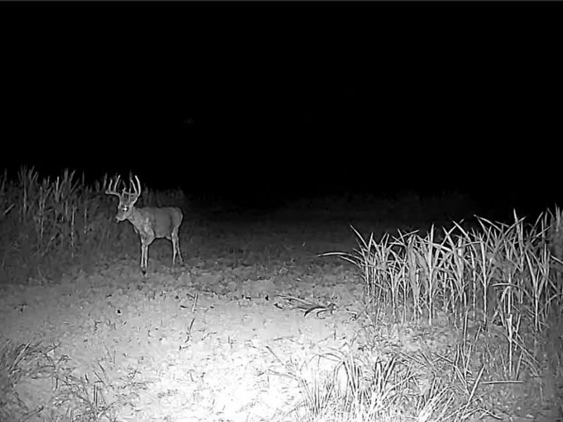 Flagdale, Junction City, OH 43748 Photo 12