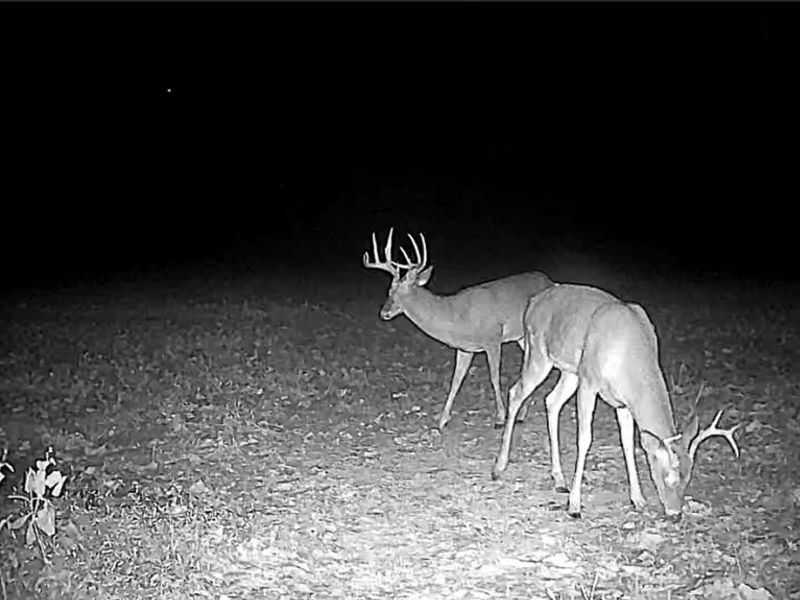 Flagdale, Junction City, OH 43748 Photo 13