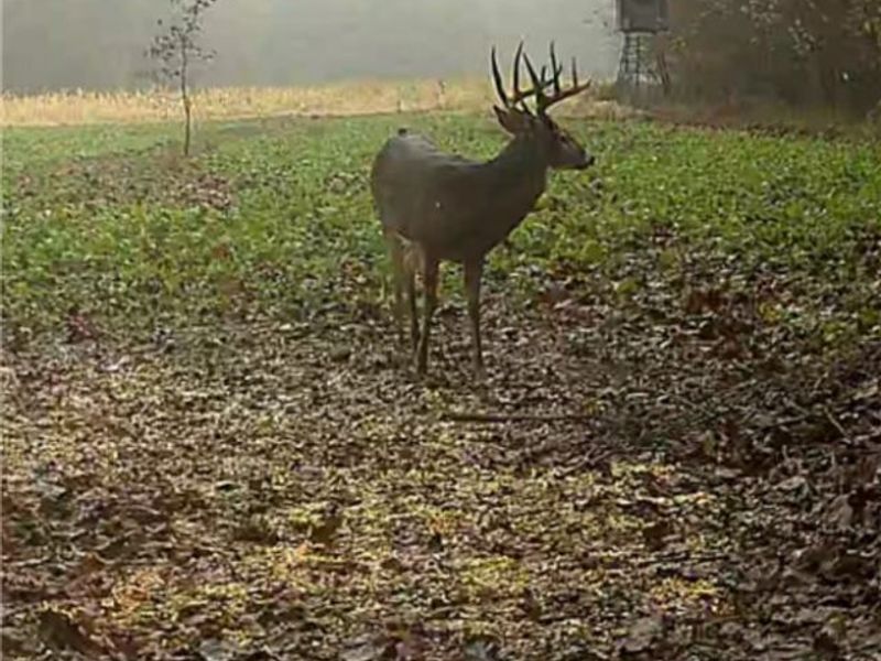 Flagdale, Junction City, OH 43748 Photo 14