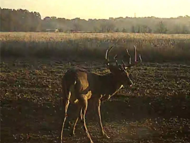 Flagdale, Junction City, OH 43748 Photo 15