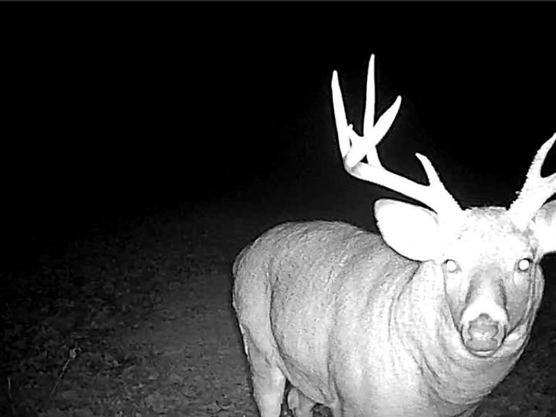 Flagdale, Junction City, OH 43748 Photo 16