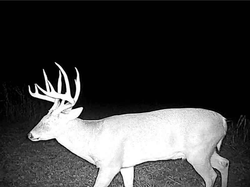 Flagdale, Junction City, OH 43748 Photo 17