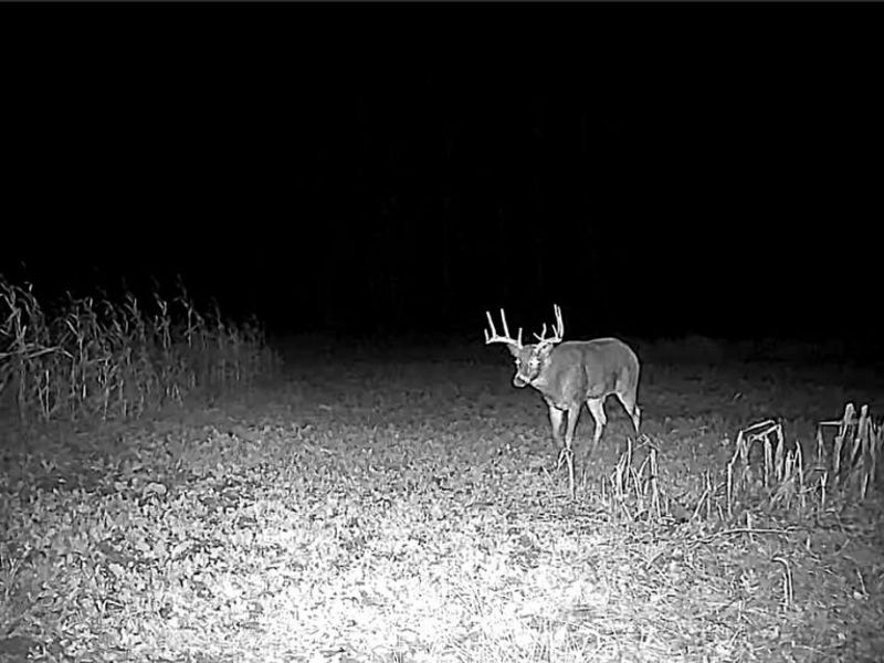 Flagdale, Junction City, OH 43748 Photo 18