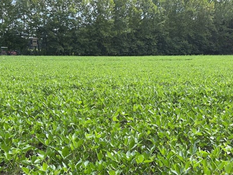 Flagdale, Junction City, OH 43748 Photo 2