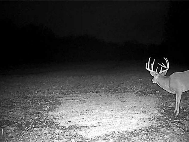 Flagdale, Junction City, OH 43748 Photo 19