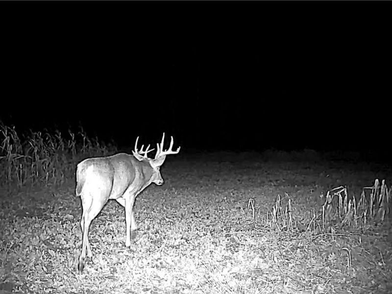 Flagdale, Junction City, OH 43748 Photo 20