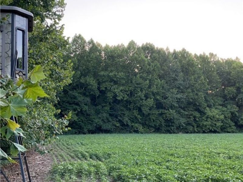 Flagdale, Junction City, OH 43748 Photo 21