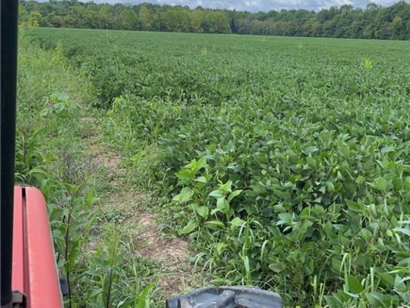 Flagdale, Junction City, OH 43748 Photo 22