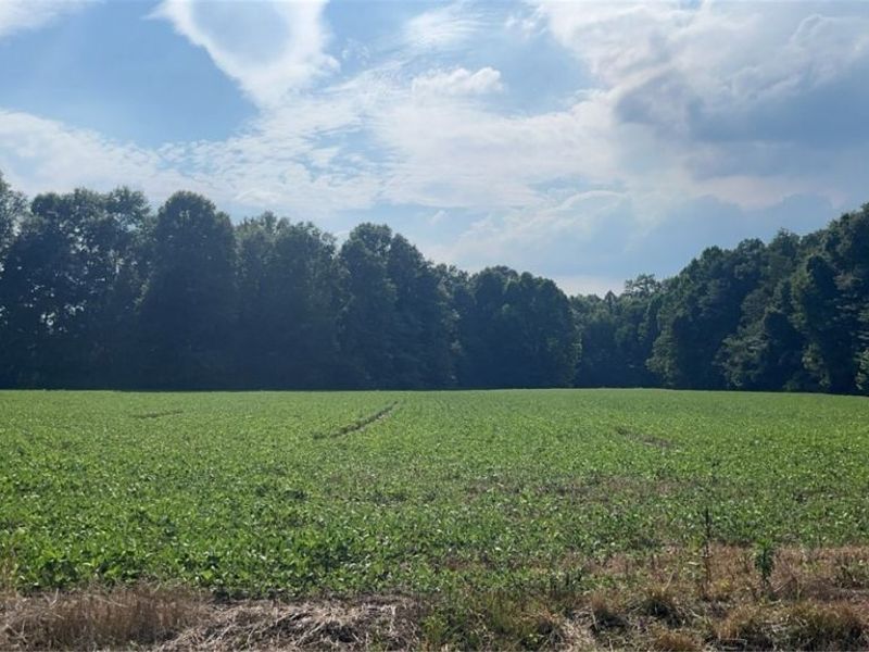 Flagdale, Junction City, OH 43748 Photo 3