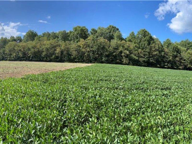 Flagdale, Junction City, OH 43748 Photo 4