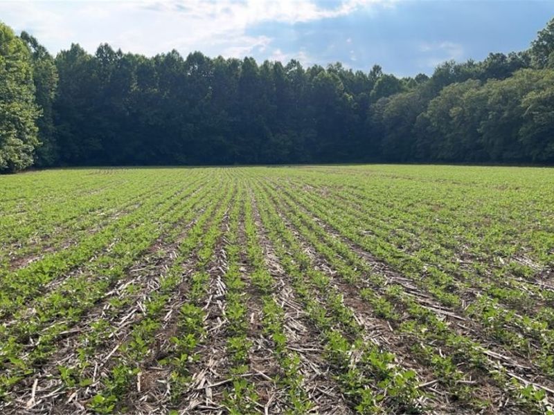 Flagdale, Junction City, OH 43748 Photo 5