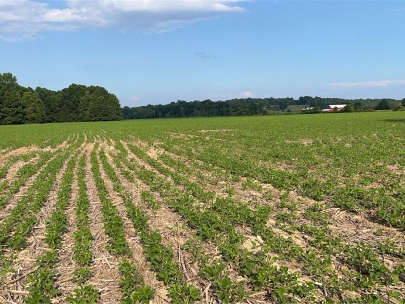 Flagdale, Junction City, OH 43748 Photo 6